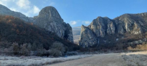 Golemi kamik Pirot Vlasi